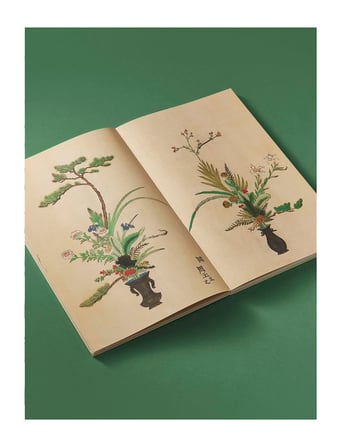 Rizzoli Ikebana The Art and Beauty of Flower Arranging 9780847874439