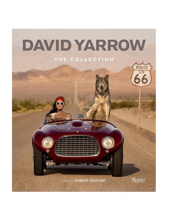 Rizzoli David Yarrow The Collection 9780847875528