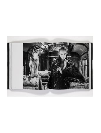 Rizzoli David Yarrow The Collection 9780847875528