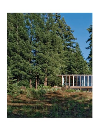 Rizzoli Turnbull Griffin Haesloop Architects 9780847875771