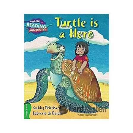 Turtle is a Hero