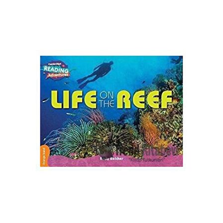 Life on the Reef