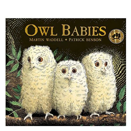 Owl Babies