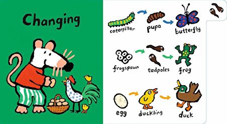 Maisy's Science: A First Words Book