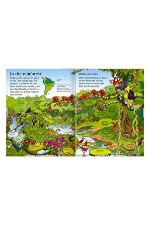 The Usborne First Encyclopedia Our World