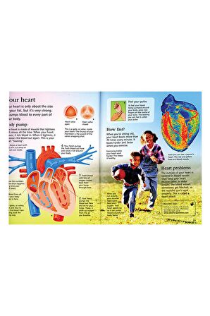 The Usborne First Encyclopedia Human Body