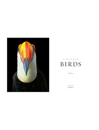 Abrams Birds Photographs 9781419747618
