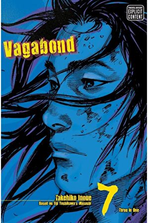 Vagabond Vizbig Edition, Vol. 7