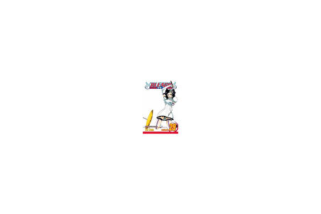 Bleach 29 - Tite Kubo