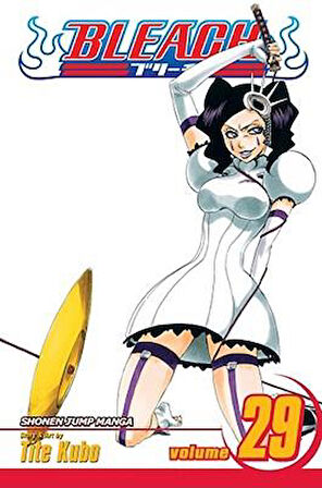 Bleach 29 - Tite Kubo