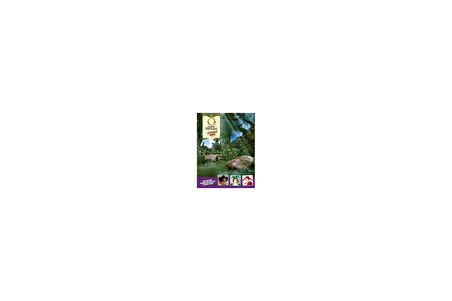 Oz The Great and Powerful: A Magical Sticker Set - Collective