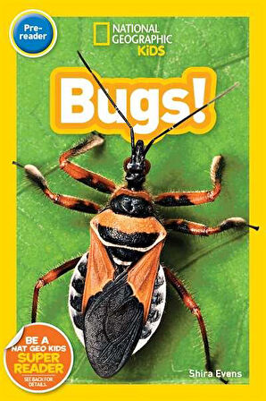 National Geographic Kids Readers: Bugs (Pre-reader) - Shira Evans