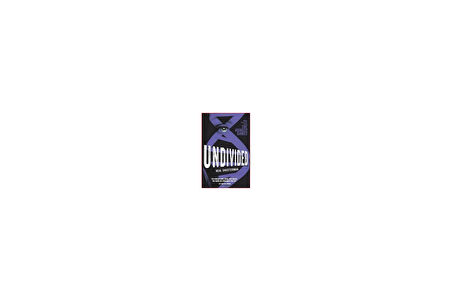 Undivided (Unwind Dystology 4) - Neal Schusterman