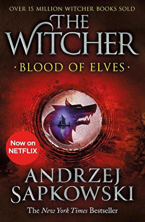 The Witcher Blood of Elves: Witcher 1