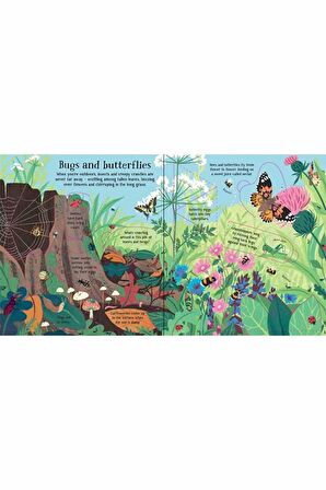 The Usborne Look Inside Nature