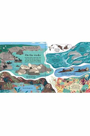 The Usborne Look Inside Nature