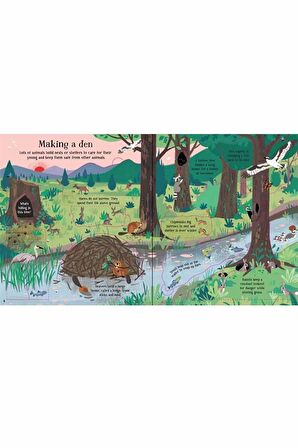 The Usborne Look Inside Nature