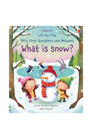 The Usborne Very First Q&A What Is Snow?