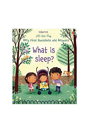 Lift-the-flap Very First Questions and Answers What is Sleep?