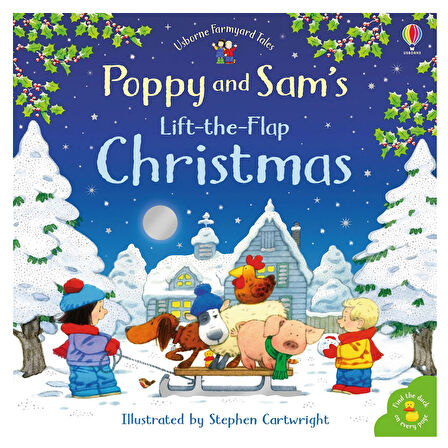 Poppy and Sam's Lift-the-Flap Christmas Usborne Publishing