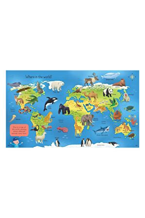 The Usborne My First Encyclopedia