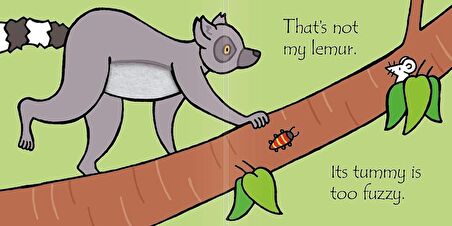 That's Not My Lemur...