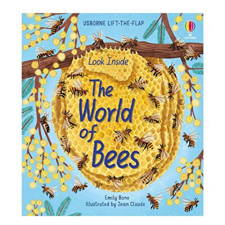 Usborne Look Inside: The World of Bees