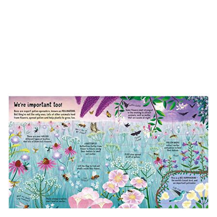 Usborne Look Inside: The World of Bees