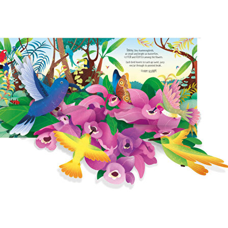 Usborne PopUp Birds