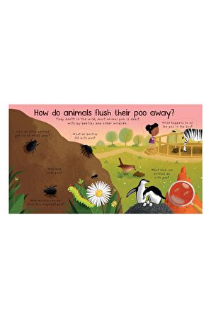 First Questions and Answers: Where Does Poo Go?