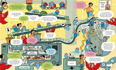 Usborne Book of The Body and How it Works