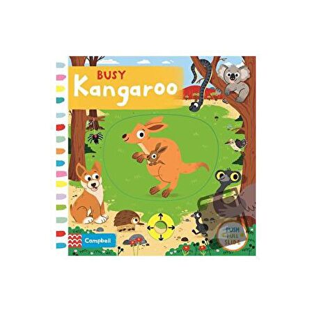 Busy Kangaroo