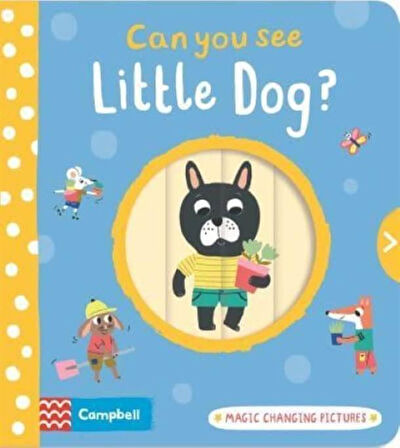 Can You See Little Dog? Magic Changing Pictures - Can You See? - Emilie Lapeyre