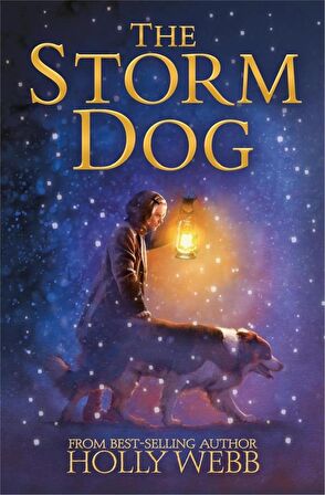 Holly Webb Animal Stories: Winter Animal Stories: The Storm Dog