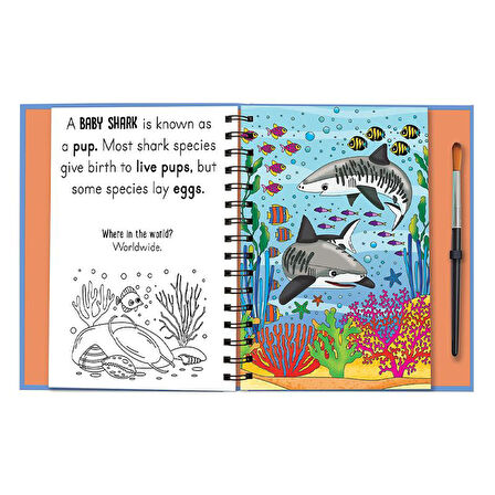 Imagine That Magic Water Colouring - Baby Animals