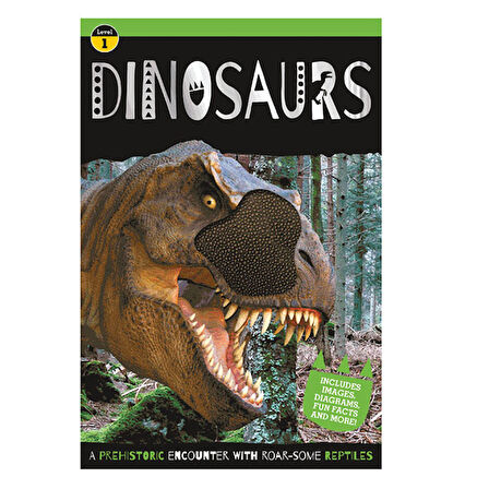 Dinosaur Reader Makebelieveideas Pub