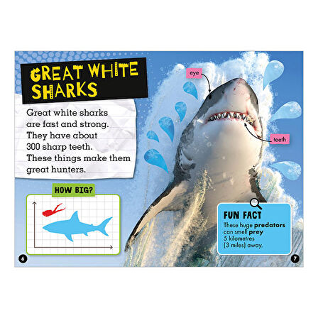 Early Readers Sharks Make Believe Ideas