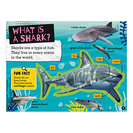 Early Readers Sharks Make Believe Ideas