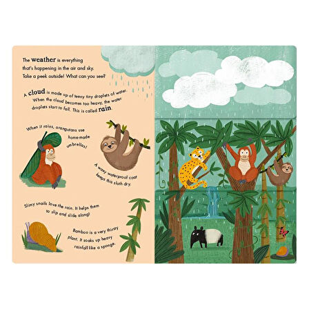 Little Tiger Rain and Shine - A Flip-Flap Book of Weather