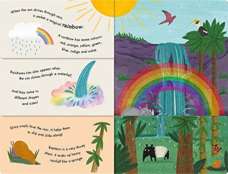 Little Tiger Rain and Shine - A Flip-Flap Book of Weather