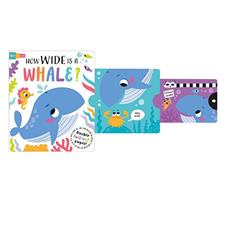 Imagine That How Wide is a Whale - Board Book