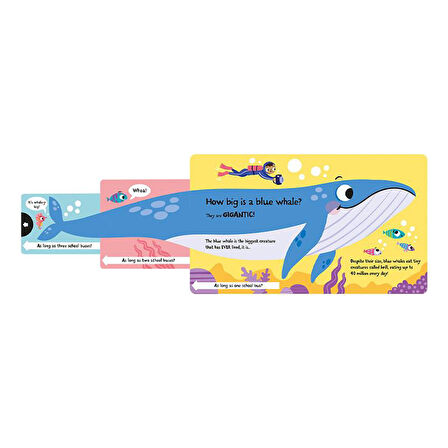 Imagine That How Wide is a Whale - Board Book