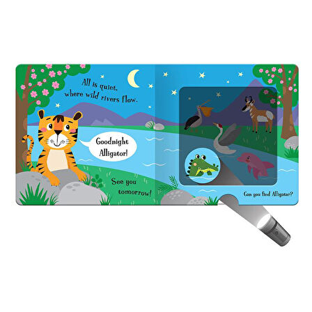 Imagine That Goodnight Tiger - A Magic Torch Book