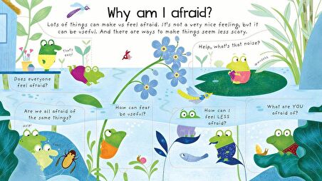 Why Am I Afraid? - Lift-the-Flap First Questions and Answers