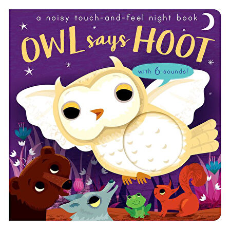 Little Tiger Owl Says Hoot - A Noisy Touch and Feel Night Book