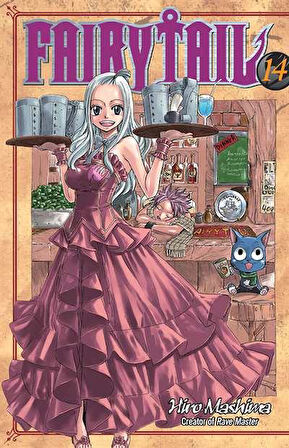 FAIRY TAIL 14 - Hiro Mashima