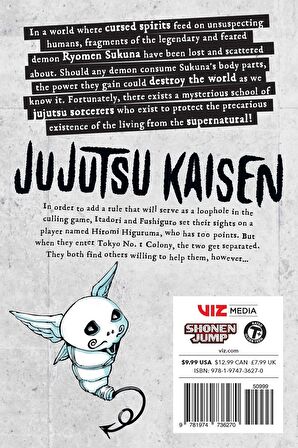 Jujutsu Kaisen, Vol. 19: Volume 19