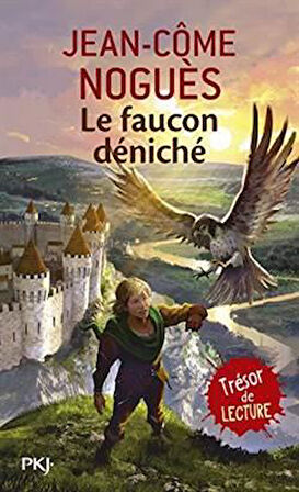 Le faucon deniche - Jean-Come Nogues
