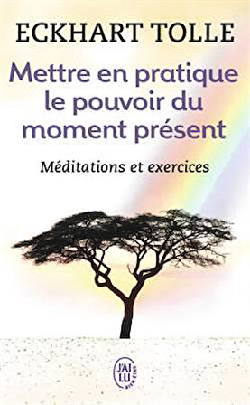 Mettre en pratique le pouvoir du moment present - Eckhart Tolle