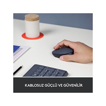 Logitech M170 910-004642 Optik Kablosuz Mouse